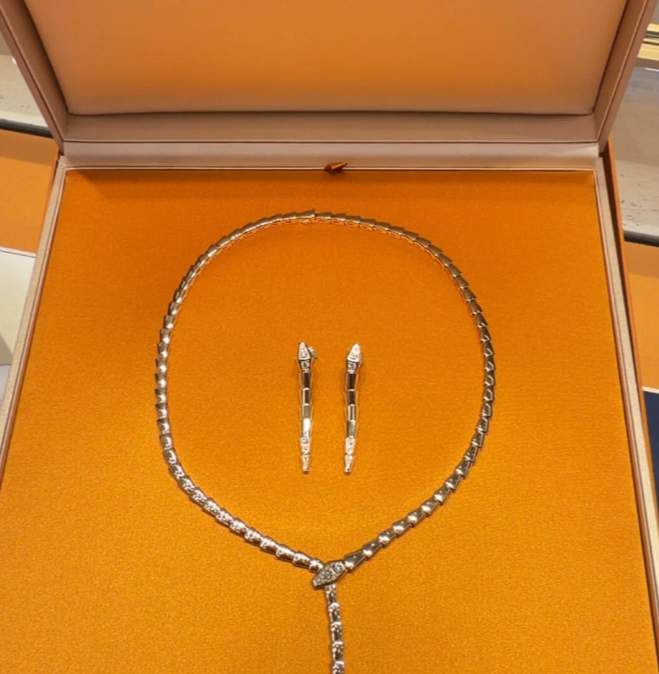 [⭐Shinejoy]NEW！SERPENT DIAMOND NECKLACE