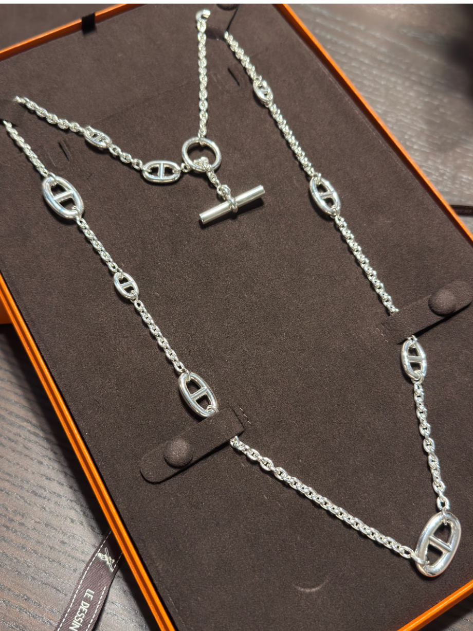 [⭐Shinejoy]Classic Silver Sweater Chain