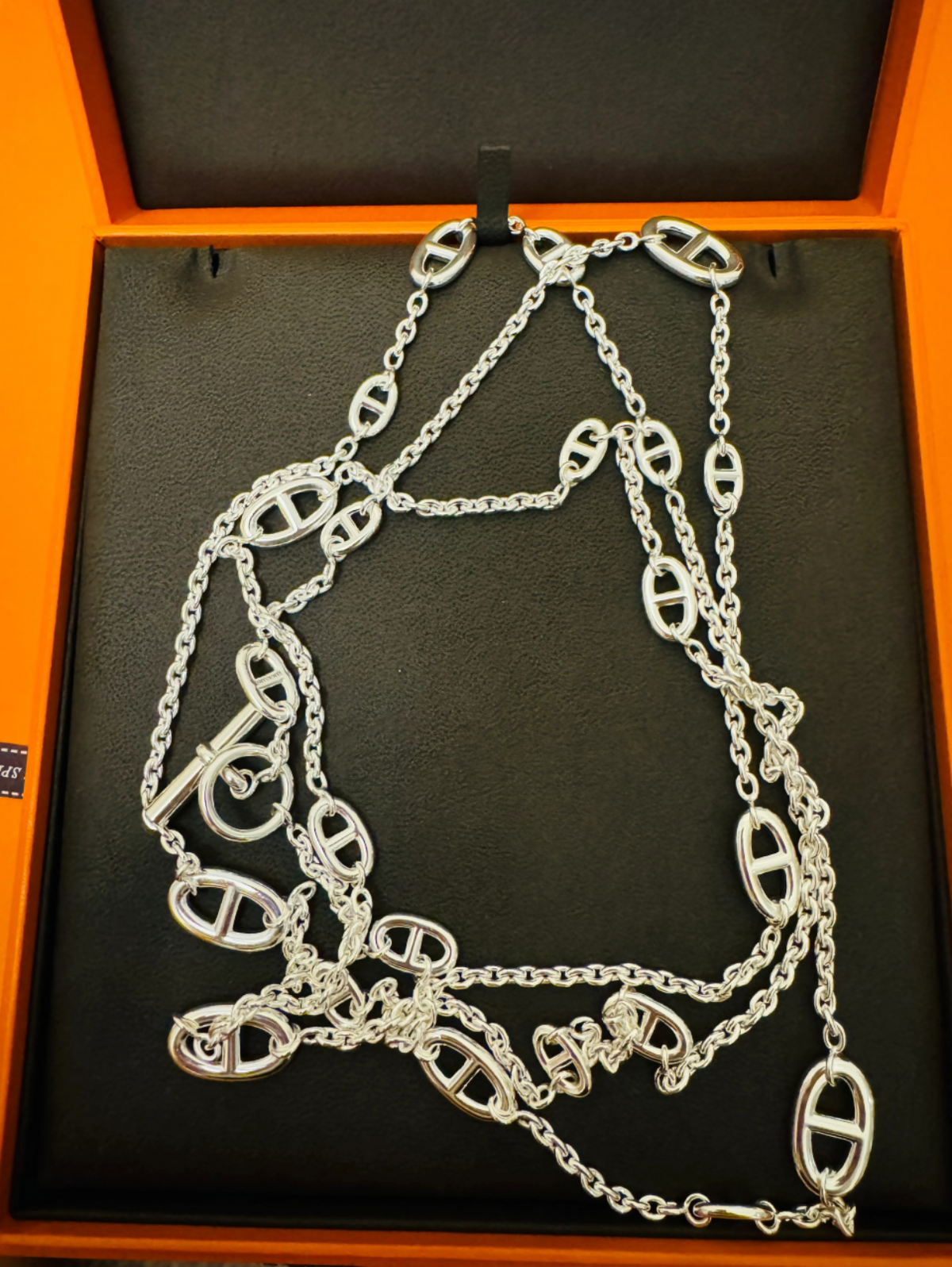 [⭐Shinejoy]Classic Silver Sweater Chain