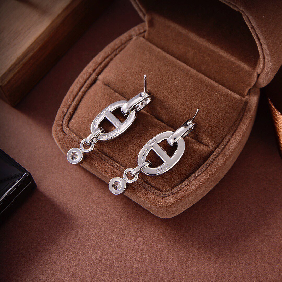 [⭐Shinejoy]HM CHAINE DIAMOND EARRINGS